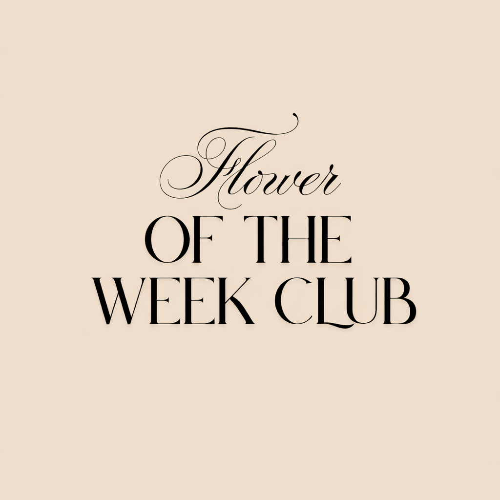 FLOWER OF THE WEEK CLUB: 3 WEEKS