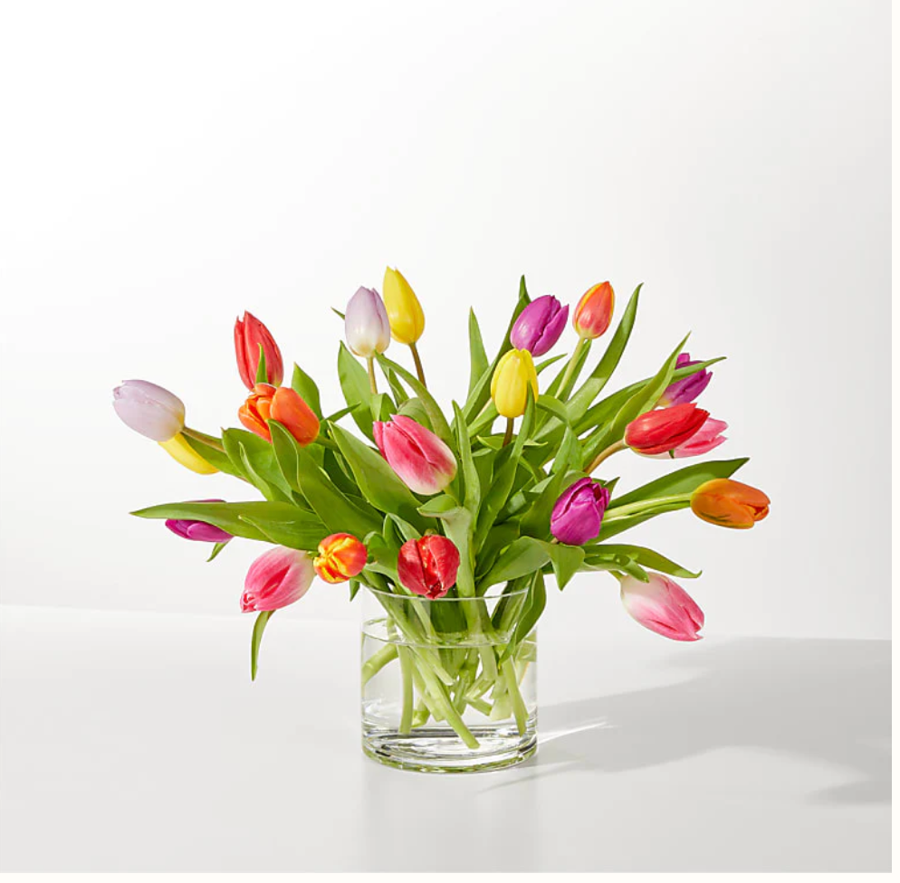 A Rainbow of Tulips